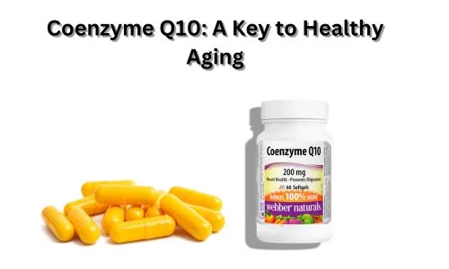 Coenzyme Q10: A Key to Healthy Aging